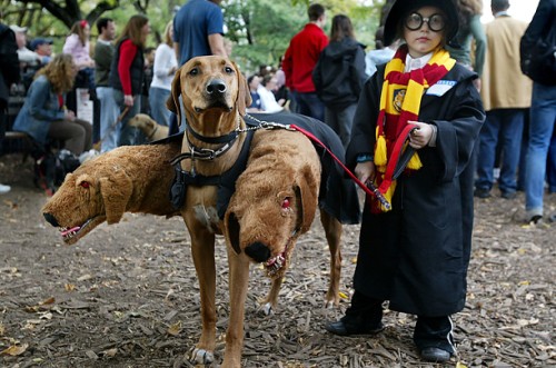 Harry Potter Kid and Dog