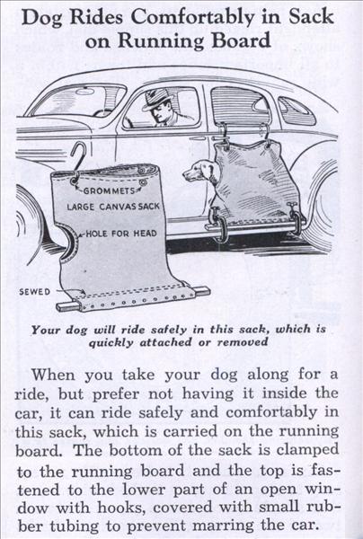 Dog Car Side Saddle