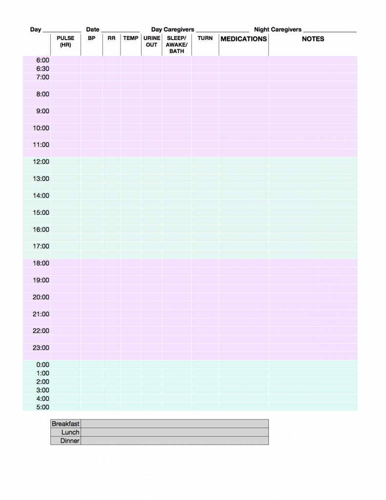 CareFlowsheet_2011