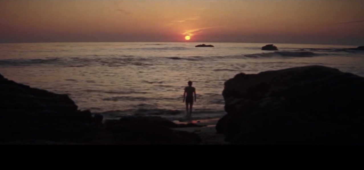 Screenshot of James Mason in 1954 A Star Is Born in silhouette walking into the ocean.