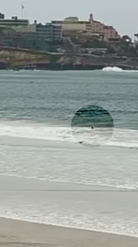 Bodysurfing Video - La Jolla Shores (2026-02-10)