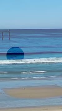 Bodysurfing Video - Ocean Beach (2026-03-01)