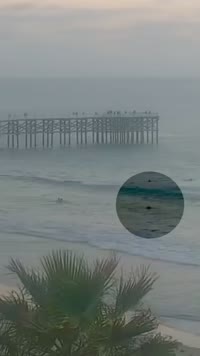 Bodysurfing Video - Pacific Beach (2026-03-26)